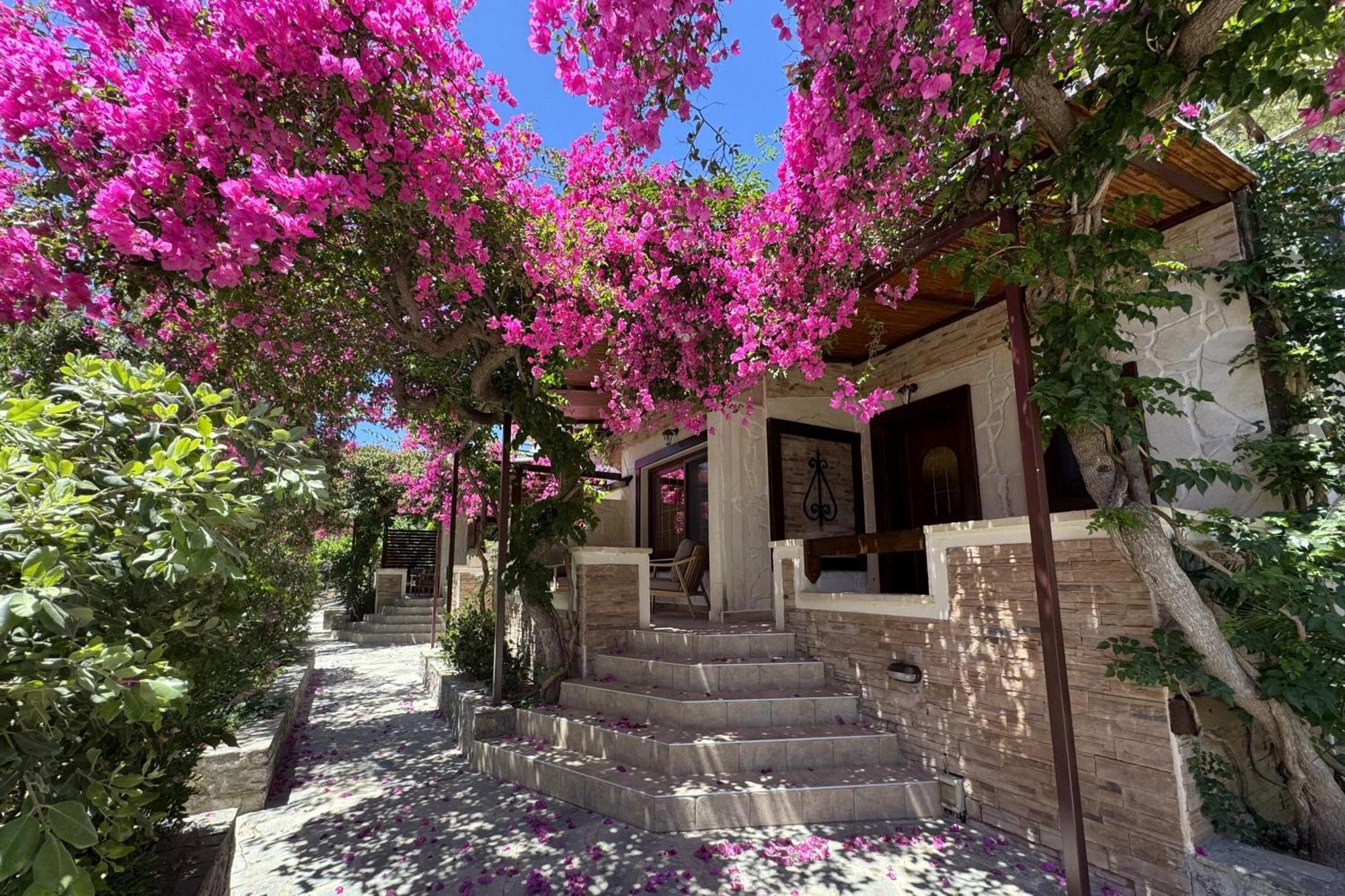 Stella'S Traditional Inn Zakros Exterior photo
